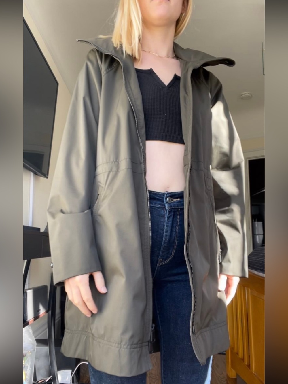 The Group Babaton Raindrop JACKET ** Green Aritzia